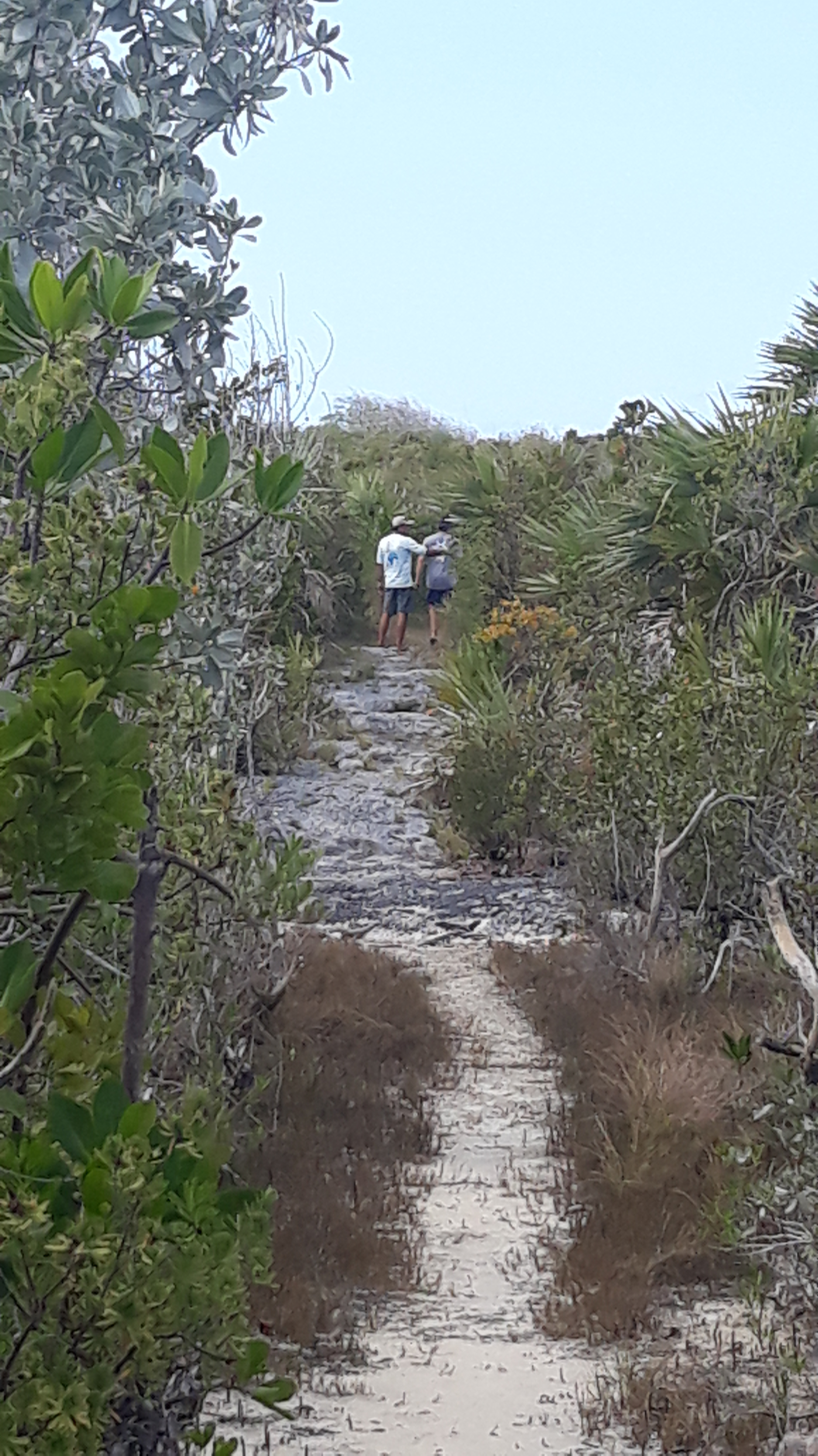 Adderly Plantation c.1790